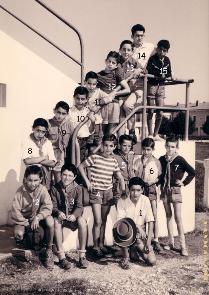 COLO BOULOGNE SUR GESSE AOUT 1960 ECHO D ORAN.JPG